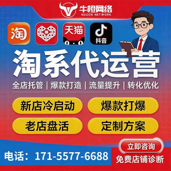 红河电商代运营