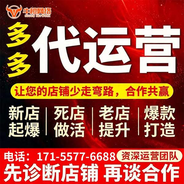 红河电商代运营