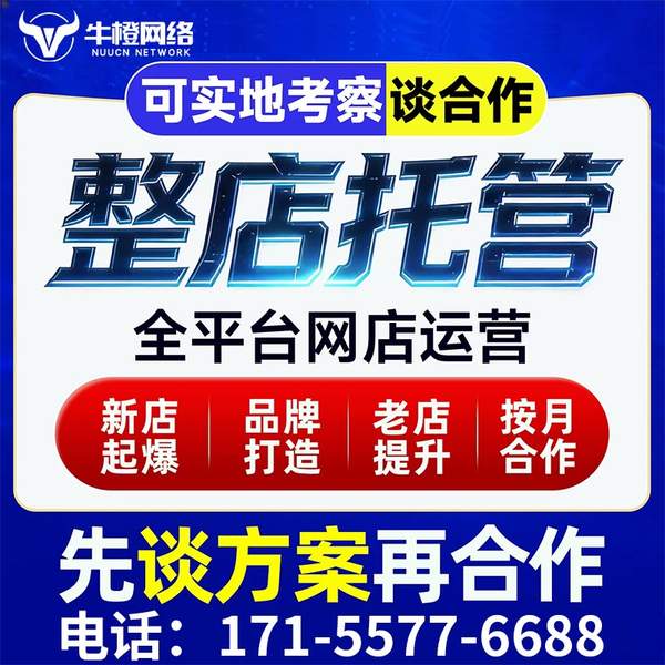 红河电商代运营