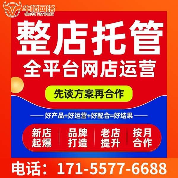 红河电商代运营