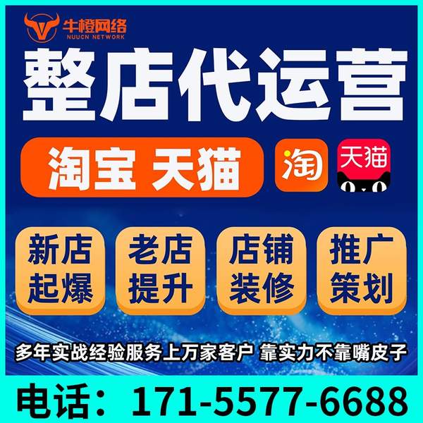 红河电商代运营