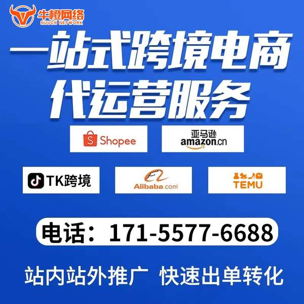 红河电商代运营