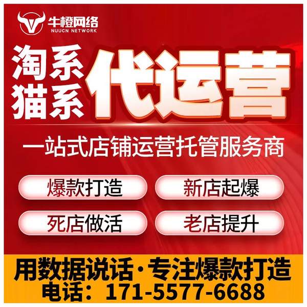 红河电商代运营